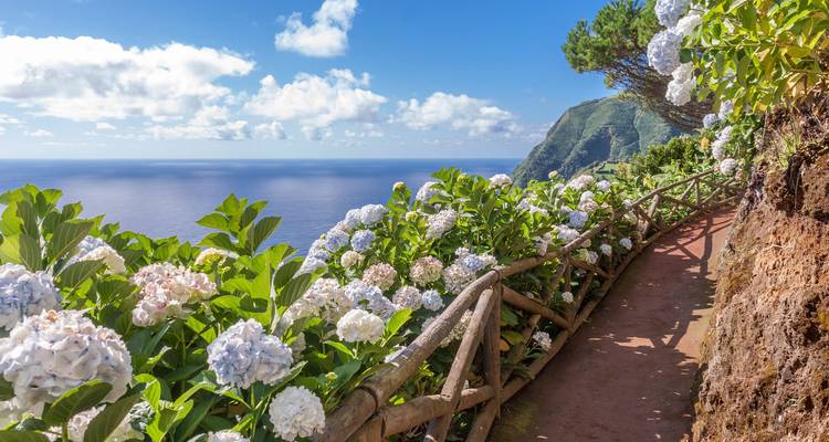 Azores Calling: Whale, This Will Be Epic (27 destinations) - journaway 2
