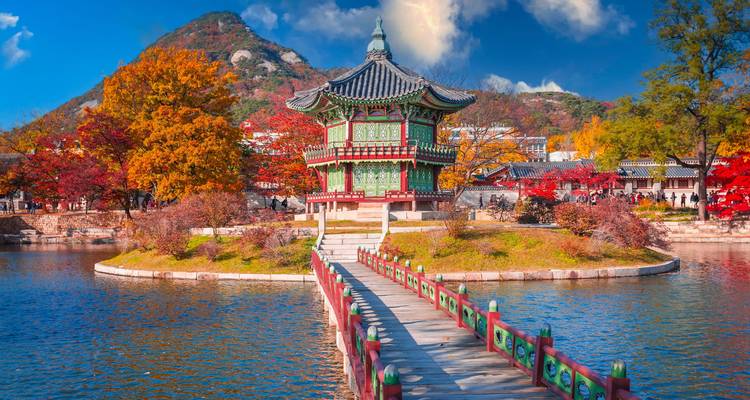Ein traditioneller koreanischer Pavillon, umgeben von herbstlichem Laub.