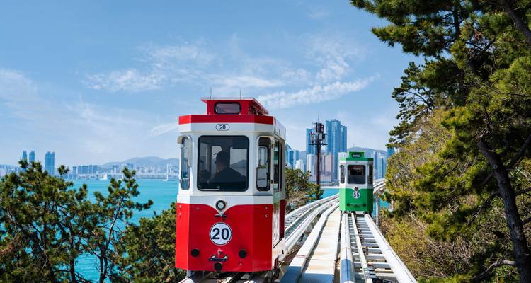 Bunte Züge auf einer Hochbahn mit einer Stadtsilhouette im Hintergrund.