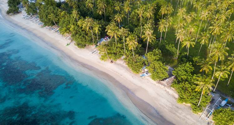 Asia Country Hopping: Palm Trees & Rooftop Views - journaway 4