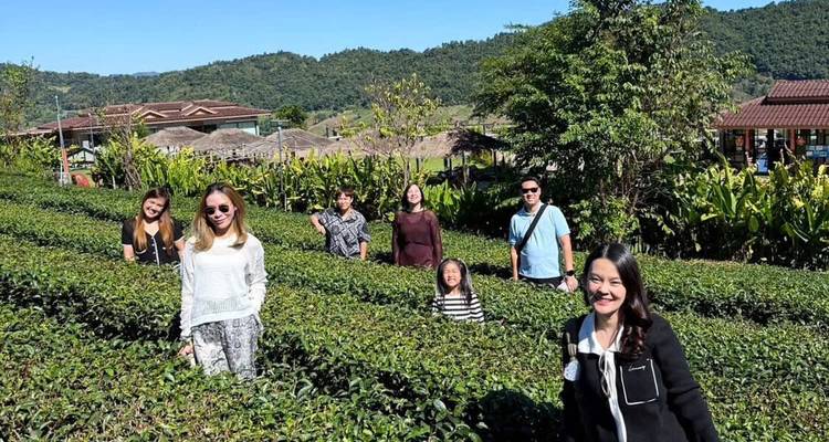 People exploring a tea plantation with lush green surroundings.