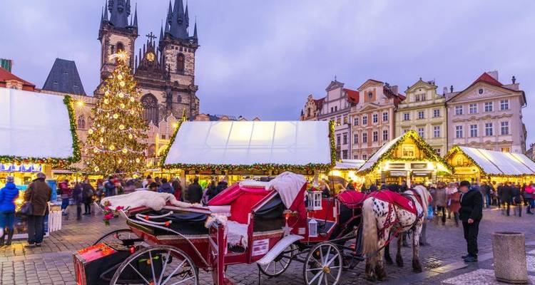 Noël sur les plus belles escales de la Moldau et de l'Elbe, entre Prague et Berlin (croisière de port à port) - CroisiEurope River Cruises 7