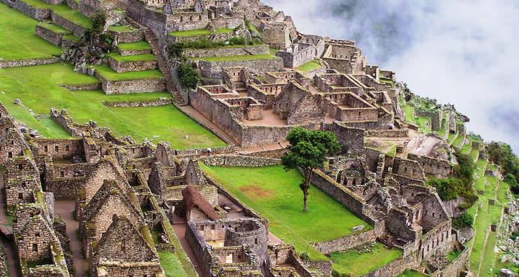 Machu Picchu Tour 2 Days | Last-Minute Reservation Made Easy - Peru Trek 4 Good 6