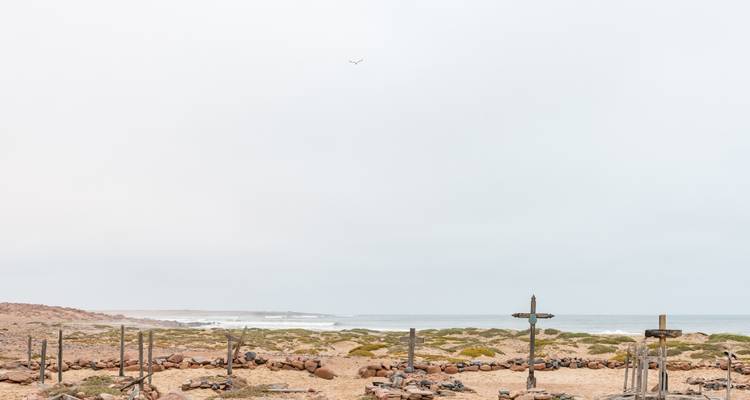 1 jour - Visite de la colonie de phoques de Cape Cross et de la côte des squelettes - Knap Tours Limited 2