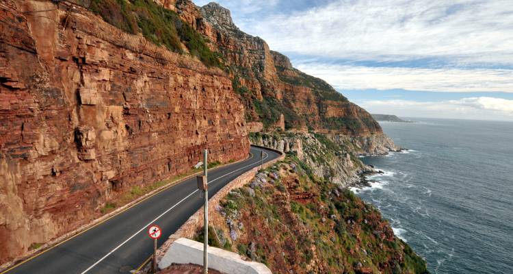 1 jour - Péninsule du Cap Point Penguins & Chapmans Peak - Knap Tours Limited 3