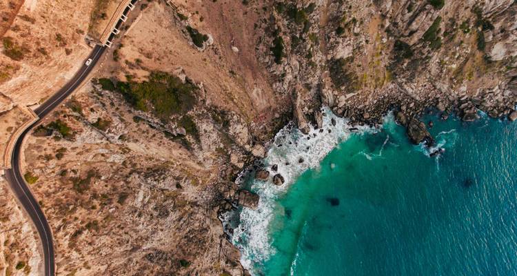 1 jour - Péninsule du Cap Point Penguins & Chapmans Peak - Knap Tours Limited 6