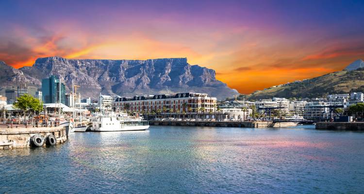 1 Day - Cape Peninsular Scenic Tour in South Africa - Knap Tours Limited 3