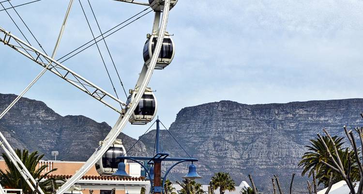 1 Day - Cape Peninsular Scenic Tour in South Africa - Knap Tours Limited 4
