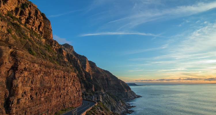 1 Day - Cape Peninsular Scenic Tour in South Africa - Knap Tours Limited 6
