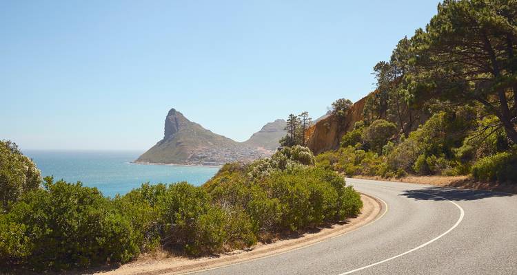1 Day - Cape Peninsular Scenic Tour in South Africa - Knap Tours Limited 10
