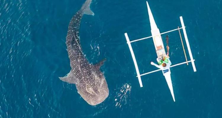 13 jours d'excursion sur les meilleures îles des Philippines (guide et chauffeur privés）customizable) - UME Travel Co. Ltd 1