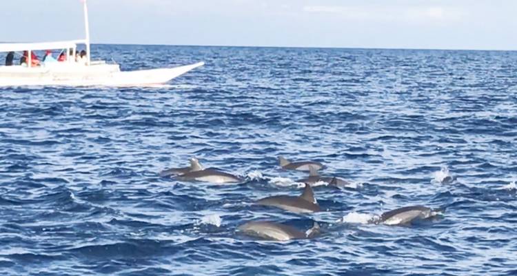 13 jours d'excursion sur les meilleures îles des Philippines (guide et chauffeur privés）customizable) - UME Travel Co. Ltd 4