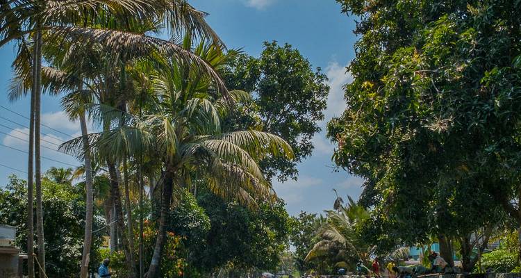 India Essence of Kerala: Hills, Backwaters & Beaches – 11 Days - Vijay India Tours 1