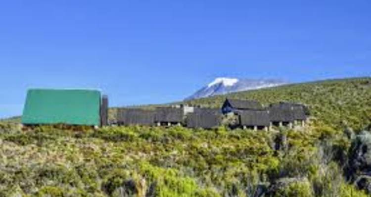 5 Días Ruta Marangu - LOVE AFRICA TRAVEL COMPANY 1