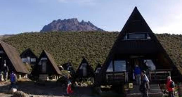 5 Días Ruta Marangu - LOVE AFRICA TRAVEL COMPANY 6