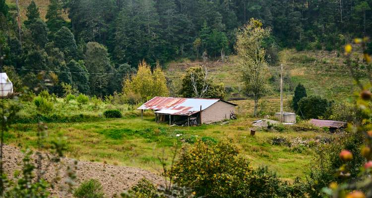 Embárcate en los Encantadores Senderos Zapotecas 4D/3N - Bamba Travel 1