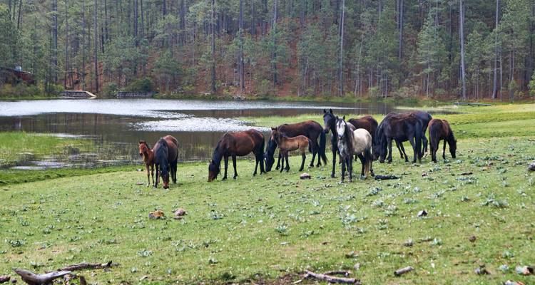 Embárcate en los Encantadores Senderos Zapotecas 4D/3N - Bamba Travel 3