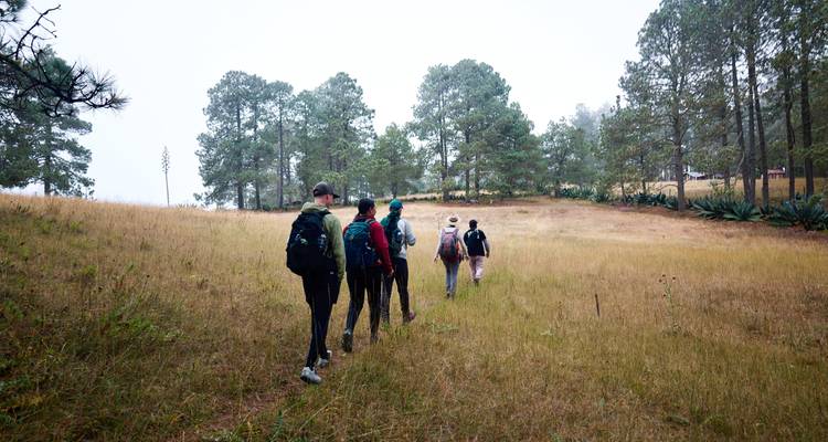 Embárcate en los Encantadores Senderos Zapotecas 4D/3N - Bamba Travel 8