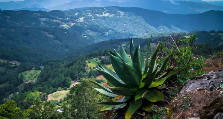 Embárcate en los Encantadores Senderos Zapotecas 4D/3N - Bamba Travel 9