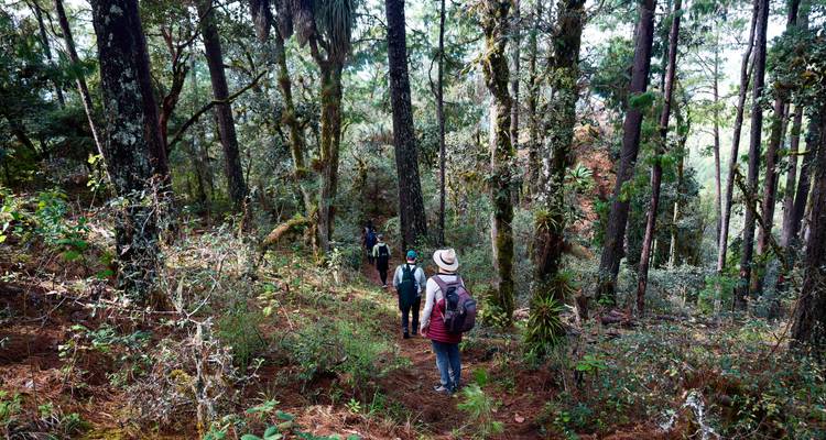 Marvels of Llano Grande & Cuajimoloyas 3D/2N - Bamba Travel 5
