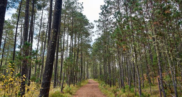 Marvels of Llano Grande & Cuajimoloyas 3D/2N - Bamba Travel 3