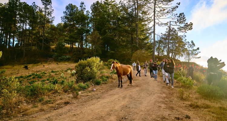 The Enchanting Sierra Norte Trek 3D/2N - Bamba Travel 2