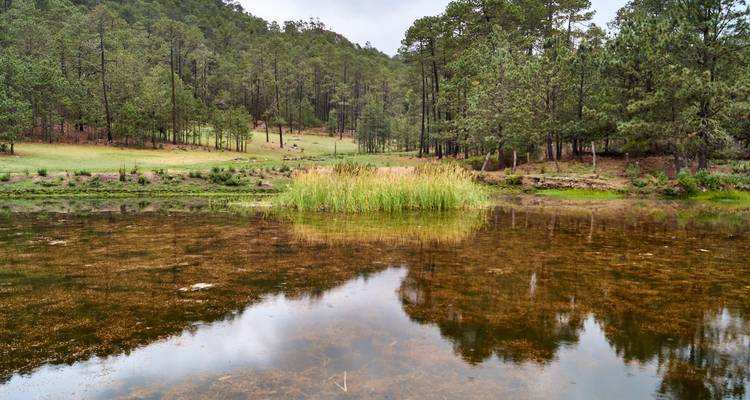The Enchanting Sierra Norte Trek 3D/2N - Bamba Travel 4