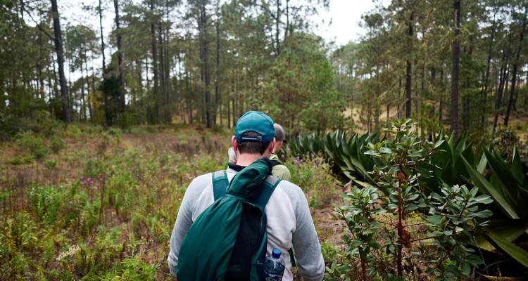 The Enchanting Sierra Norte Trek 3D/2N - Bamba Travel 9