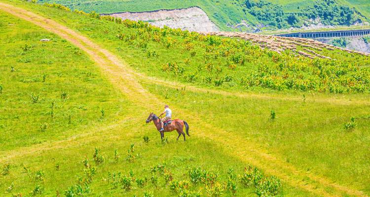 Jinete solitario a caballo siguiendo un sendero de tierra a través de una pradera alpina verde y abierta