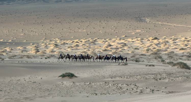 Circuit Gobi 7J 6N - Trip De Nomadic 3