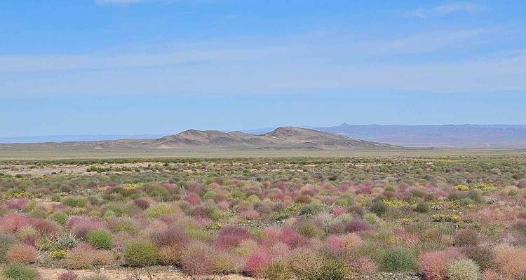 Circuit Gobi 7J 6N - Trip De Nomadic 6