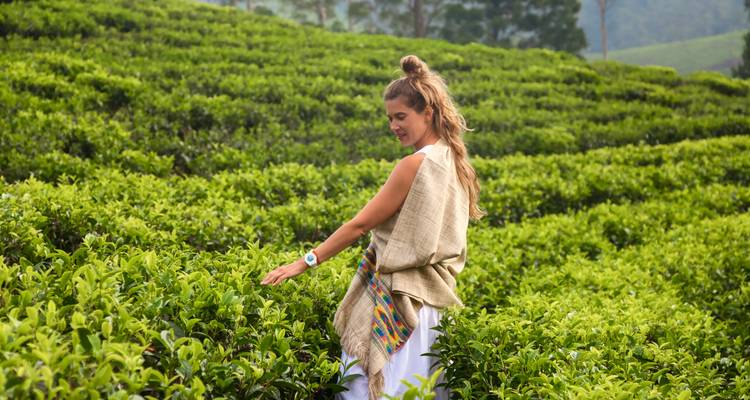 Sri Lanka: Sun, Spice & Sacred Vibes (including Ella) - journaway 5