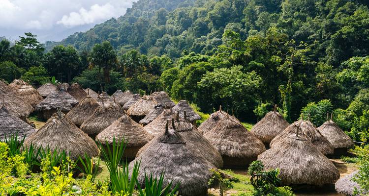 Colombia Adventure: Jungle Trekking to the Lost City - journaway 7