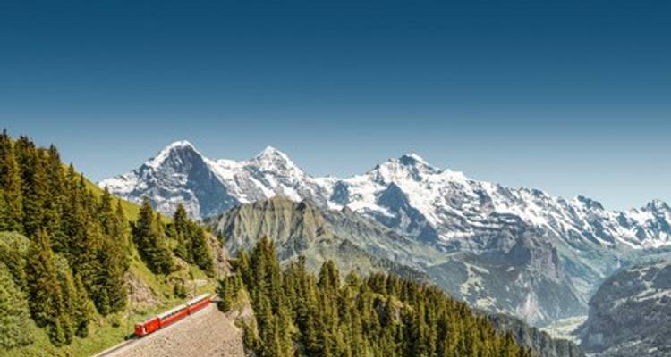 From the Heart of Alsace to Summits in the Swiss Alps (port-to-port cruise) (7 destinations) - CroisiEurope River Cruises 7
