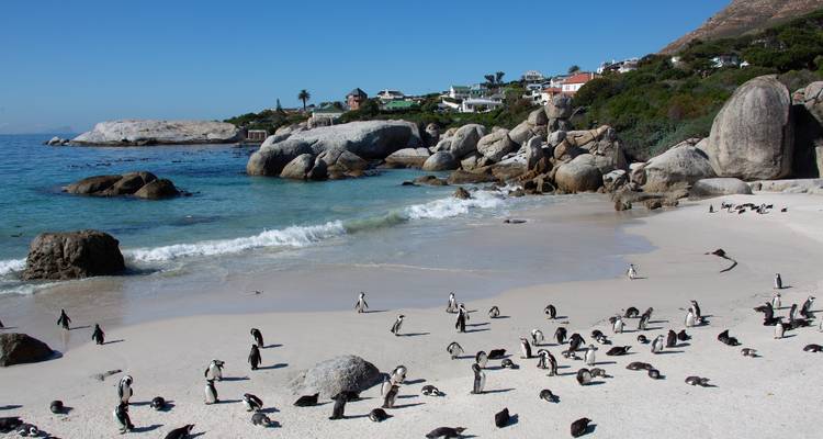 1 Day - Cape Town Scenic Helicopter Ride - Knap Tours Limited 1