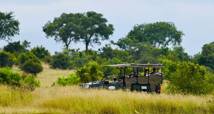 Circuit pour femmes - Safari et triangle d'or - Vijay India Tours 1
