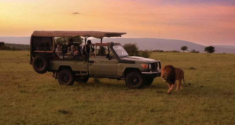 Circuit pour femmes - Safari et triangle d'or - Vijay India Tours 6