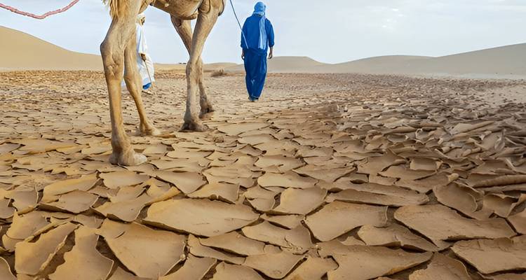6 Días de excursión en camello desde Marrakech al desierto de M'hamid y Erg Zaher - Explore Adventures Morocco 2