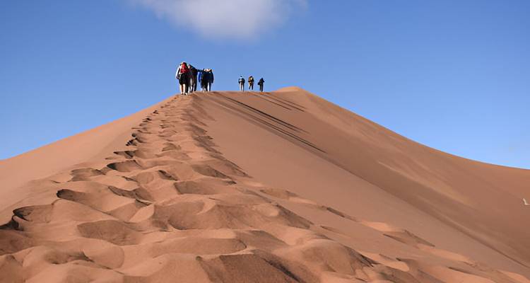 6 Días de excursión en camello desde Marrakech al desierto de M'hamid y Erg Zaher - Explore Adventures Morocco 3