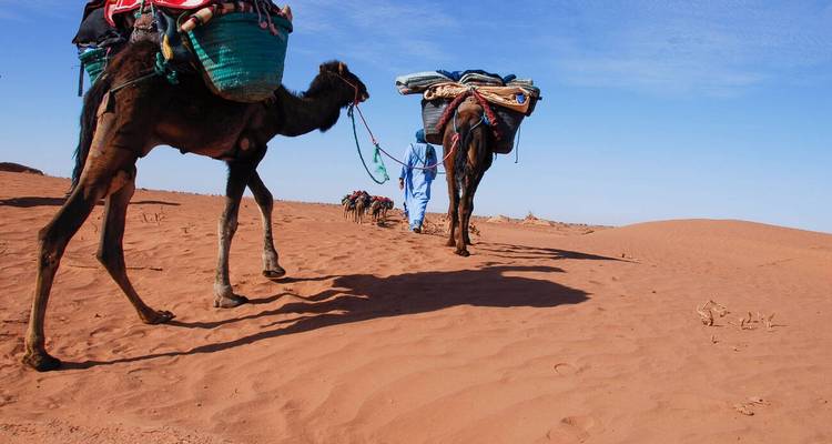 6 Días de excursión en camello desde Marrakech al desierto de M'hamid y Erg Zaher - Explore Adventures Morocco 8