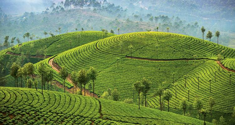 09 jours d'excursion au Kerala ! -  Taj Voyages Tours  1