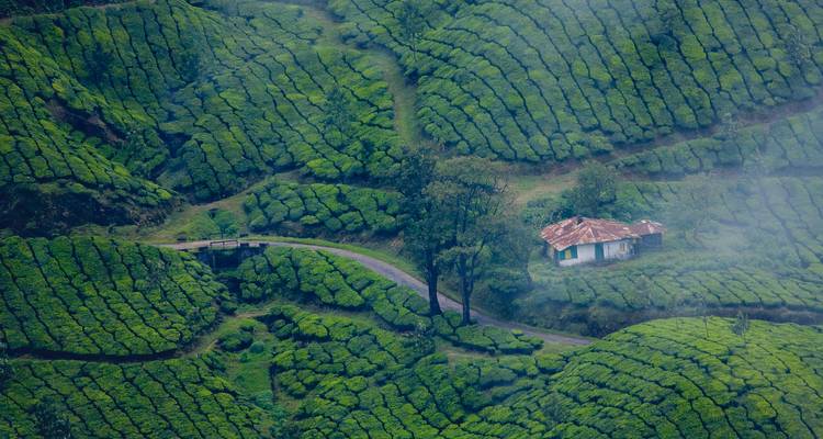09 jours d'excursion au Kerala ! -  Taj Voyages Tours  2