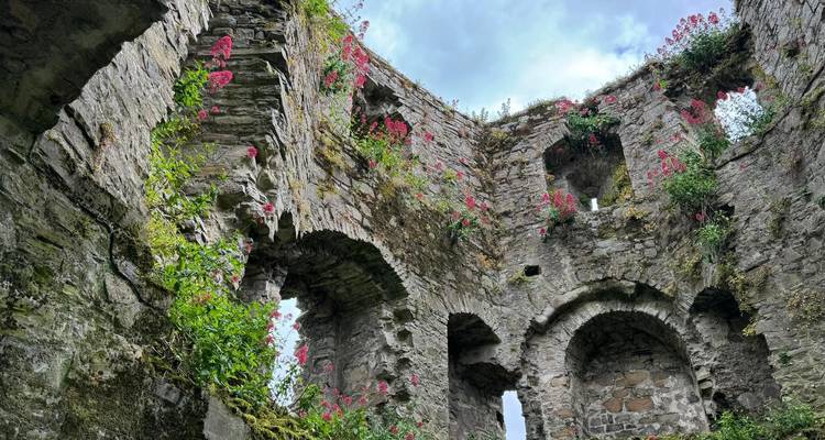 14 Day Full Irish Tour – Small Group Coach Tour - Irish Tours For You 3