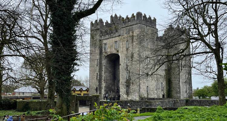 10 Day Mini Irish Tour – Small Group Coach Tour - Irish Tours For You 4