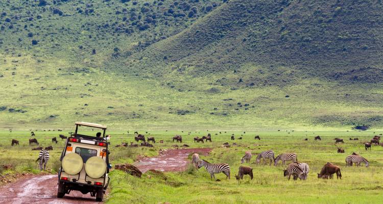 Tanzanie & Zanzibar : Glamping parmi les Big Five (from Mont Kilimandjaro to Zanzibar) - journaway 5