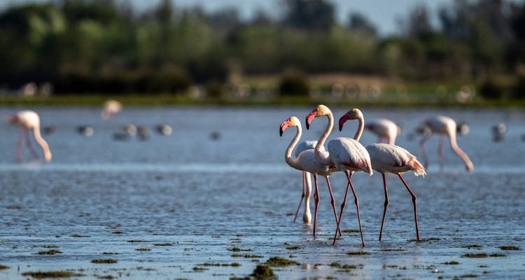 Andalusia road trip: Wild Trails & Golden Beaches (27 destinations) (21 destinations) - journaway 4