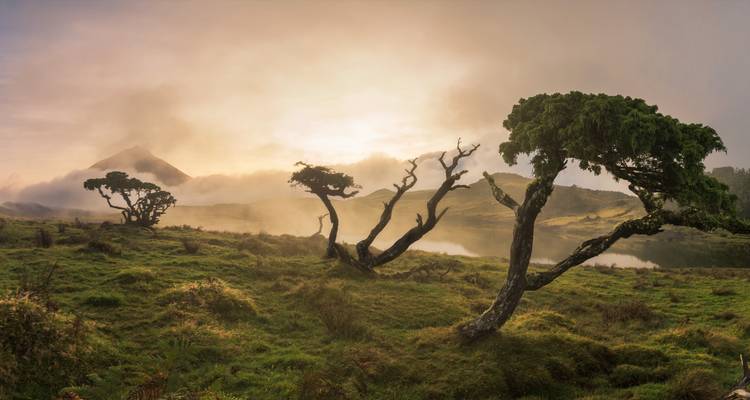 La liste de choses à faire aux Açores : Îles volcaniques sauvages de l'Atlantique (10 destinations) - journaway 5