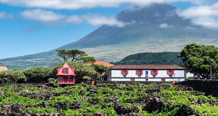 La liste de choses à faire aux Açores : Îles volcaniques sauvages de l'Atlantique (10 destinations) - journaway 2