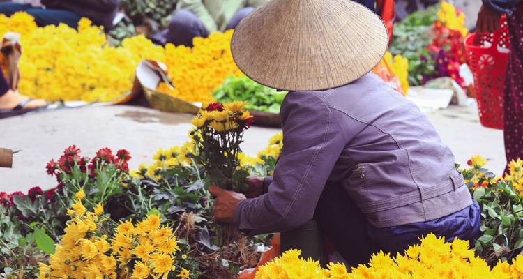 Vietnam Bucketlist: Halong Bay, Lantern City & Mekong Delta (8 destinations) - journaway 4