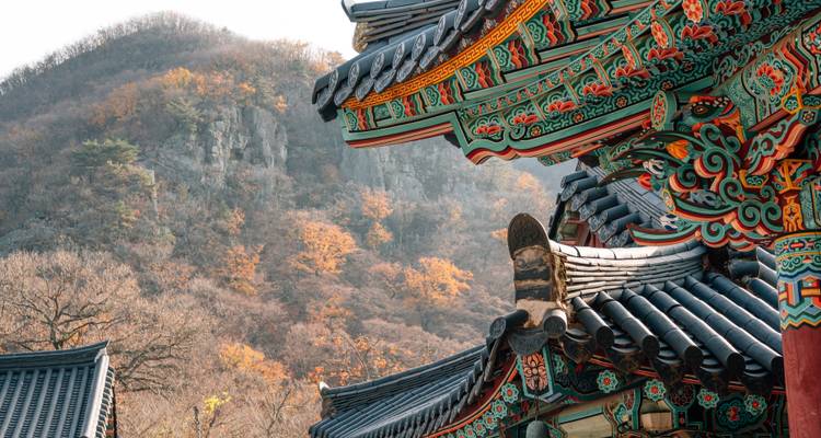 Corée du Sud et Japon : Cityhopping au Mont Fuji - journaway 2